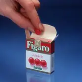 Tablettask. Fotografi för Papyrus årsberättelse 1980.
Foto: Sten Granath, Wezäta.