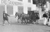 Fylgias resor 1920-21
Åsnor med vagn+några ur besättningen från Fylgia.
På  Madeira.