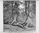 Konstverk - grafiskt blad signerat 1927 av konstnären Olof Thunman