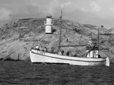 Fiskebåten LL 667 ASTA AV SMÖGEN. I bakgrunden en ledfyr på en klippa.