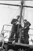 Fylgias resor 1920-21
2 män ombord