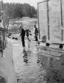 Fylgias resor 1920-21
Makering