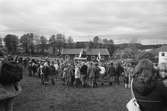 Annestorpsdalens scoutkår anordnar distriktstävlingar från scoutgården vid Konditorivägen i Lindome, år 1983.

För mer information om bilden se under tilläggsinformation.