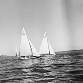 På bilden ses utanför Sandhamn  starbåtarna 1014 MOONSHINE och 872 FINIKANT (b. 1932) samt i bakgrunden starbåtarna 860 ASTRA (b. 1931) och 1113 (b. 1935).