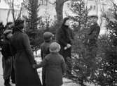 Julgransförsäljning i Vasaparken, Uppsala 1934
