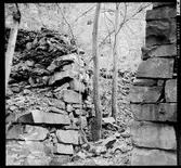 Landskapsbild Hunneberg