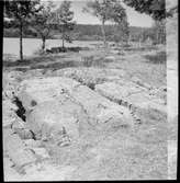 Hällristningarna i Högsbyn.