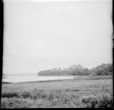 Slottsruin  Gräfsnäs