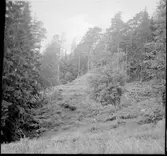 Fornborgen på Halleberg.