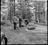 Fornlämning. Markvård kring Dalaborg.