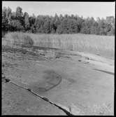 Hällristningar på Vänersnäs.