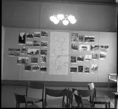 Vänersborgs museum. Sommarutställning: Fornvård - Naturvård.