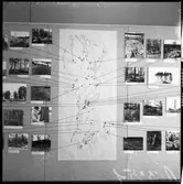 Vänersborgs museum. Sommarutställning: Fornvård - Naturvård.