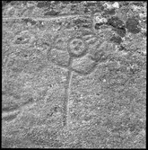 Hällristning  Evenstorp