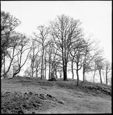 Sundals-Ryr, Evenstorp. Hällristning.