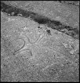 Sundals-Ryr, Evenstorp. Hällristning.