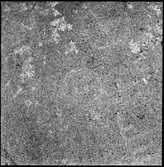 Sundals-Ryr, Evenstorp. Hällristning.