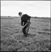 Sundals-Ryr. Anders Aronsson slår gräs.