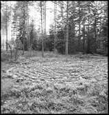 Vårgårda, Ornunga. Labyrint.