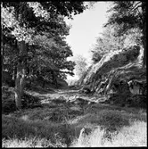 Dalaborgs slottsruin