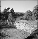 Dalaborgs slottsruin