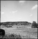 Fornlämning - Stensättning. Tisselskog