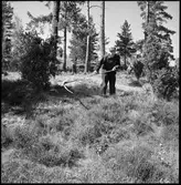 Fornlämning, Brätte.