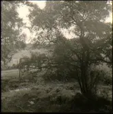 Hasselberget, Floby.