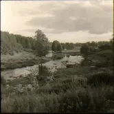 Byallmänning, Hornborga.