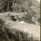 Byallmänning, Hornborga.