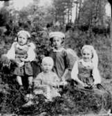 Fyra barn i skogen.