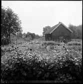 Västra Tunhem, Heden