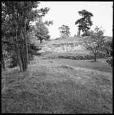 Fornlämning, Dalaborg Bolstad