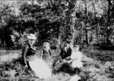 Familjegrupp, fyra personer, i skogen.