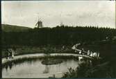Planteringsförbundets park omkring 1908. Svandammen.