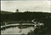 Planteringsförbundets park omkring 1908. Svandammen.