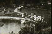 Planteringsförbundets park omkring 1908. Svandammen, detalj.