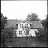 Hästevadet