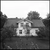Hästevadet