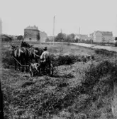 Risbergska skolan till vänster och bostadshus till höger. Nikolaikyrktorn skymtar i bakgrunden. Plogning i åkrar på öster.