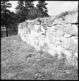 Bolstad, Dalaborgs slottsruin