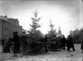 Julgransförsäljning på Stortorget.
Julen 1935.