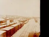Järnvägsstation i Jämtland (?) eller Ånge (?). Rangerbangård, godsvagnar och öppna vagnar.
Stereofotografi.