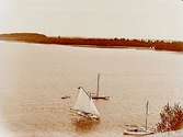 Tre segelbåtar.
Ässön i bakgrunden.
Segelsällskapet Hjälmaren