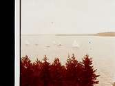 Kappsegling på Hemfjärden, Hjälmaren. Sex segelbåtar.
Segelsällskapet Hjälmaren (SSH)
Ässön i bakgrunden.
Stereofotografi.