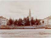 Olaus Petrikyrkan. 
Bilden tagen från Sofiaparken.