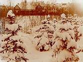 Betlehemskyrkan i snö.