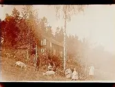 Sommarstugan Fridensborg, envånings sommarstuga med inredd vind och veranda. Fem barn och två vuxna framför stugan, 2 getter.
Fotograf Sam Lindskog