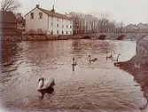 Byggnader, Arbetshuset, Kanslibron och Karolinska skolan. Fem svanar i Svartån.