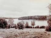 Utsikt över sjön Multen.
Beställningsnr: KV-2329.
